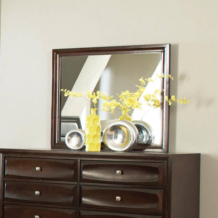 Jaxson Transitional Cappuccino Dresser Mirror