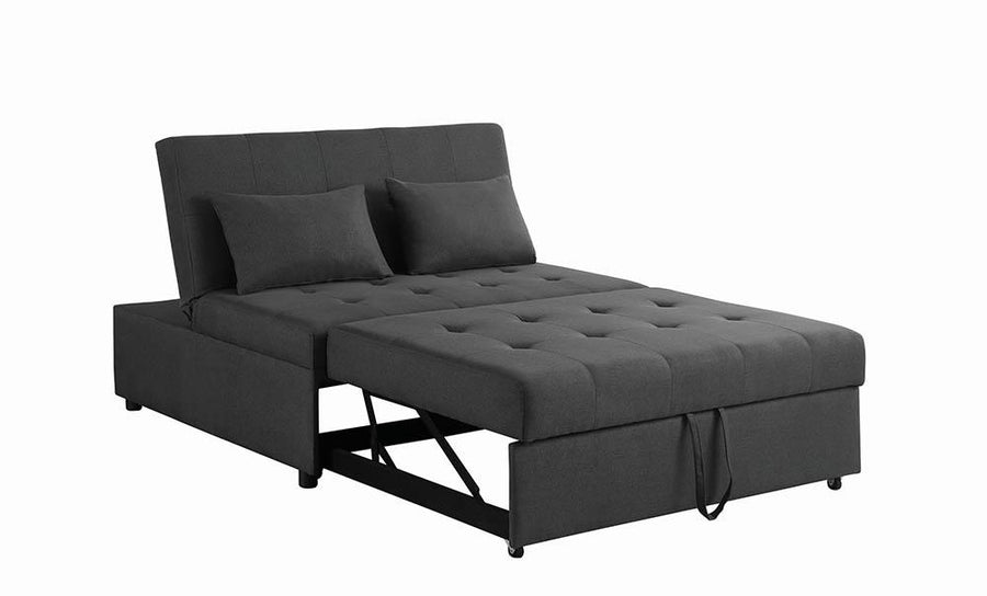 Sleeper Sofa Bed