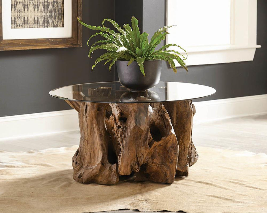 Rustic Teak Root Coffee Table